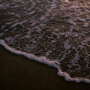 Meet your Posher, Todd